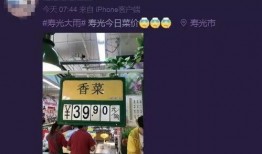 今日菜价爆料新闻视频大全,今日菜价爆料视频大盘点
